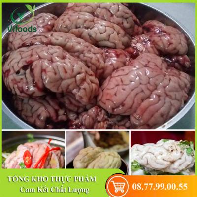 Cung cấp óc bò giá sỉ uy tín chất lượng