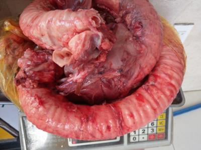 Cuống họng bò làm gì ngon miệng, dễ làm tại nhà