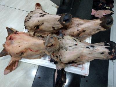 Đầu bò làm món gì ngon?