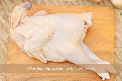 Thịt gà dai Hàn Quốc nguyên con giá sỉ